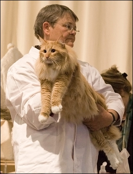 Garpriket's Rob Roy 1.jpg - Garpriket's Rob Roy